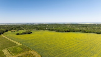 Tbd Lake Rd, Bottineau, ND 58318