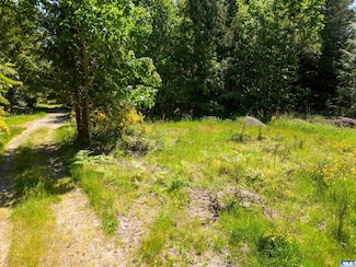 780 N Bagley Creek Rd, Port Angeles, WA 98362