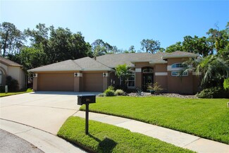 5919 Falconwood Place, Lithia, FL 33547