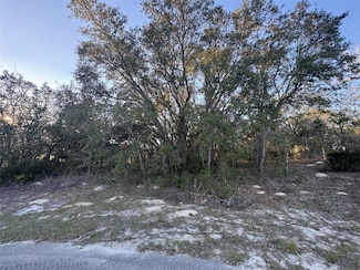 0 SW 147th Street Rd Unit MFROM696430, Ocala, FL 34473