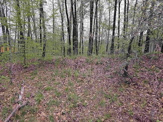Lot 2238 Plum Hollow Blvd, Hot Springs, AR 71913
