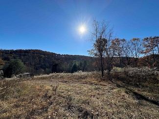 1299 Nellie Hole Rd, Salem, WV 26426