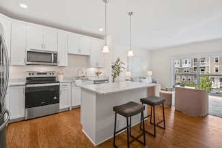 11203 Peters Farm Way Unit 11203, Westborough, MA 01581