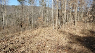 0 Apache Rd Unit RTC2785312, Jamestown, TN 38556