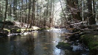 17 Dewitt Rd, Accord, NY 12404