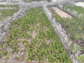 0 Creek Unit 100491330, Jamesville, NC 27846
