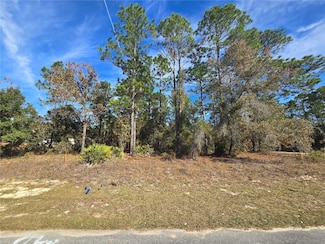 6434 N Baylor Terrace, Pine Ridge, FL 34433