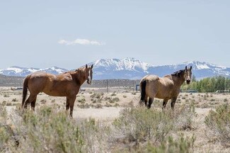 TBD Rim Rock Ln, Murphy, ID 83650