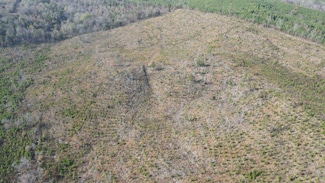 0 Polk County Road 472, Gillham, AR 71841