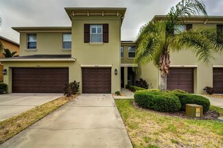 9568 Trumpet Vine Loop, Trinity, FL 34655