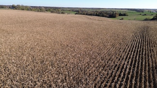 52 Scarlet Ave, Bloomfield, IA 52537