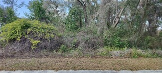 204 Adelphi St, Inverness Highlands South, FL 34452