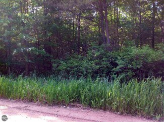 TBD W Millbrook Rd, Remus, MI 49340