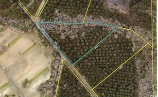 Lot 9 Samworth Loop, Georgetown, SC 29440