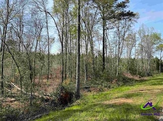 0 Old Vienna Rd Unit 19949970, Elko, GA 31025