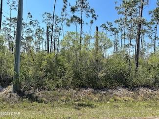 11831 Hauser Rd, Panama City, FL 32404