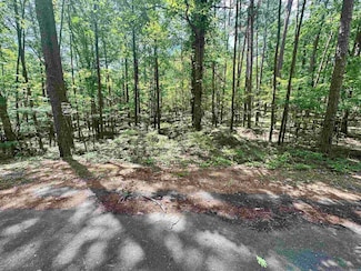 4 Modesto Way, Hot Springs Village, AR 71909