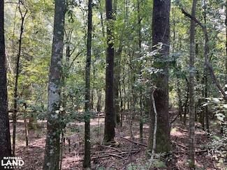0 Cedar Creek Rd, Lucedale, MS 39452