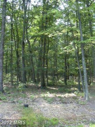 34 Sleepy Knolls, Shanks, WV 26761