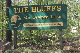 16 Bluffs Blvd, Center Ossipee, NH 03814