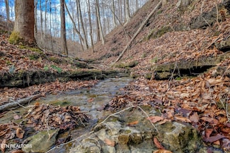 6.24 Acres Hutchings Bend Rd, Sparta, TN 38583