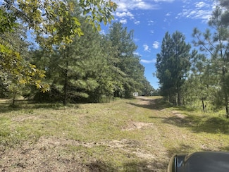 1943 McDade Farm Rd, Hephzibah, GA 30815