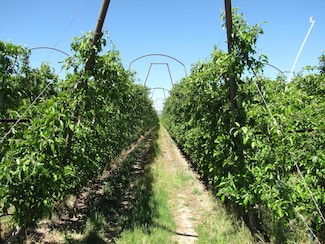 45402 N O'Brien Rd, Prosser, WA 99350