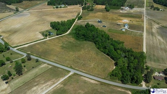 TBD Hoffmeyer Rd, Darlington, SC 29532