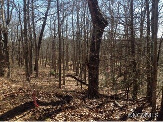 0 Buffalo Mtn Lot #C Unit NCM556297, Glenville, NC 28736