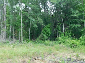 TBD Groundhog Rd, Gilmer, TX 75644