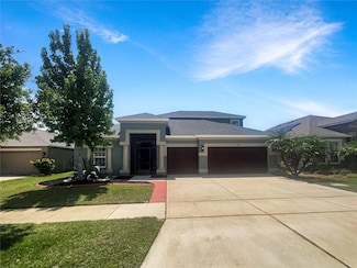 12671 Flatwood Creek Dr, Gibsonton, FL 33534