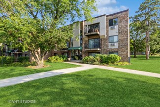 1475 N Winslowe Dr Unit 304, Palatine, IL 60074