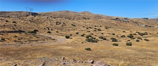 0 Richter Ln Unit SR25019723, Acton, CA 93510