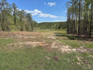 2630 Hannah Dr, Deatsville, AL 36022