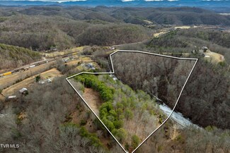 Tbd Lick Creek Rd, Watauga, TN 37694