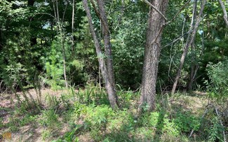LOT 59 Fires Creek Cove, Hayesville, NC 28904