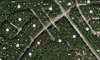 532 W G Martinelli Blvd, Dunnellon, FL 34434