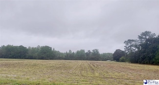 0 Harry Byrd Hwy, Darlington, SC 29532