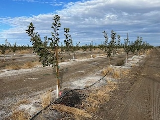 0 County Road 89 Unit 22123975, Winters, CA 95694