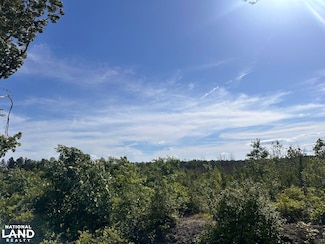 0 Mt Holly Rd Unit 23663566, Montross, VA 22520