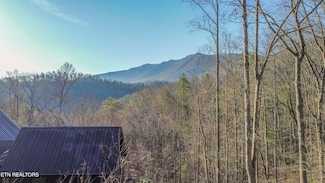 0 Cooper Hollow Rd, Townsend, TN 37882