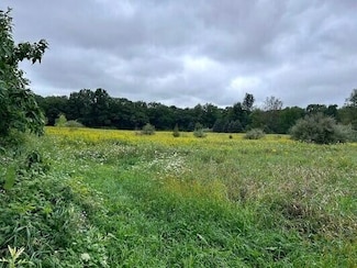 0 Weller Rd Unit 25016449, Gregory, MI 48137