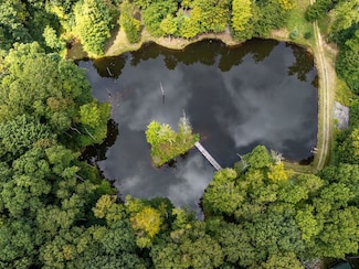 180 Thorpe Mountain Ln, Tallmansville, WV 26237