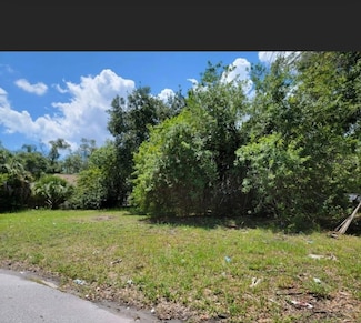 809 Palm Bluff St, Clearwater, FL 33755