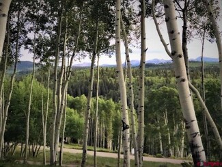 1471 Spruce Rd, Cimarron, CO 81220