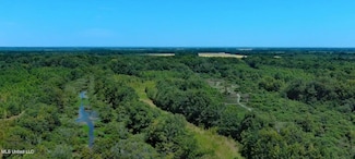 0 Cotton Loop, Sledge, MS 38670