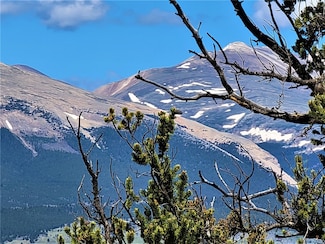 2041 Middle Fork Vista, Fairplay, CO 80440