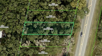6391 Treiman Blvd, Webster, FL 33597