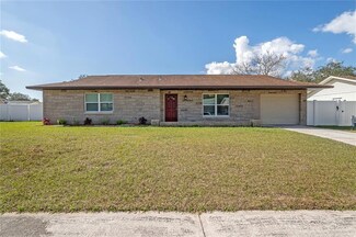 1107 Oakhill St, Seffner, FL 33584