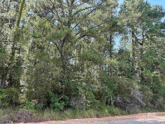 0 Jenkins Farm Rd, Loxley, AL 36551